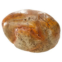 Produktbild von Europet Bernina Aquariumdekoration Aqua Della Yellow Wax Stone Gelber Stein für Fische Garnelen und Krebse