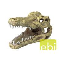 Produktbild von Europet Bernina Aquariumdekoration Krokodilschädel Höhle aus Kunstharz für Fische in Beige