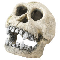 Produktbild von Europet Bernina Aquariumdekoration Schimpansenschädel Figur und Höhle für Fische 16 cm