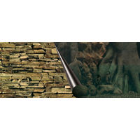 Produktbild von Europet Bernina Fotorückwand Tree und Rock für Aquarien 60 x 30 cm