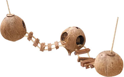 Europet Bernina Kokosnuss Häuschen mit Leiter und Seil für Hamster und Mäuse 3 x 130 mm – Bild 1 von 8