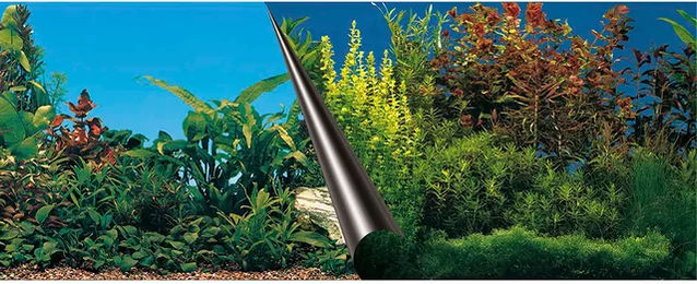 Europet Bernina Photo-Rückwand Beauty & Sea für Aquarien 80 x 40 cm – Bild 1 von 7