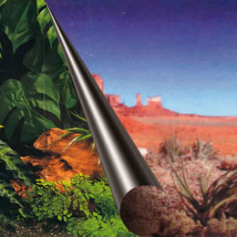 Europet Bernina Photo-Rückwand für Aquarien Motiv Jungle & Desert 60 x 30 cm – Bild 1 von 3