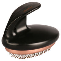 Produktbild von Europet Bernina Slicker Bürste Noir ergonomische Massagebürste für Hunde und Katzen in Bronze/Schwarz
