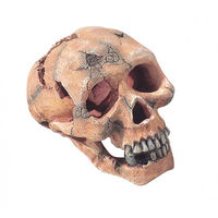 Produktbild von Europet Bernina Totenkopf Deko-Figur für Aquarien und Terrarien 15 cm