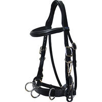 Produktbild von Euroriding Atlanta Kappzaum aus Leder für Ponys in Schwarz