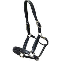 Produktbild von Euroriding British Line Lederhalfter für Warmblut in Schwarz