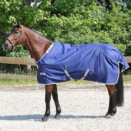 Produktbild von Euroriding Bucas Turnout Light 0g Outdoordecke für Pferde in Blau
