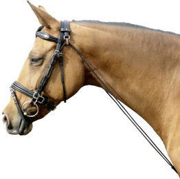 Euroriding Chambon Natural Line Leder Longierbedarf für Warmblut in Braun oder Schwarz – Bild 1 von 1
