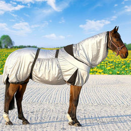 Euroriding Ekzemerdecke für Pferde aus Polyester in Grau Silber 145 cm – Bild 1 von 2