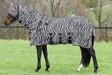 Produktbild von Euroriding Fliegendecke Zebra mit abnehmbarem Halsteil 115cm - 115 cm