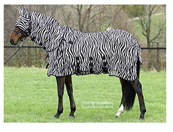 Produktbild von Euroriding Fliegendecke Zebra mit abnehmbarem Halsteil 135cm