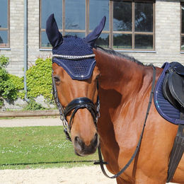 Euroriding Fliegenohren Bright Navy für Warmblut Pferde – Bild 1 von 3