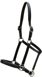 Euroriding Fohlenhalfter Natural Line aus Leder in Schwarz – Bild 1 von 1