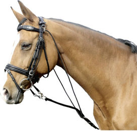 Euroriding Gogue Natural Line Longierbedarf aus Leder für Warmblut in Braun oder Schwarz – Bild 1 von 1