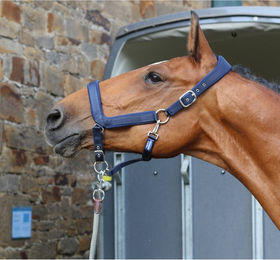 Produktbild von Euroriding Halfter anatomisch aus Nylon in Blau Full