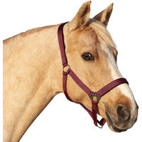 Produktbild von Euroriding Halfter Basic für Warmblut aus Kunststoff