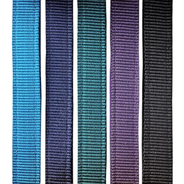 Euroriding Halfter Charmes für Ponys aus Leder in Petrol/Türkis/Blau – Bild 1 von 2