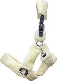 Produktbild von Euroriding Halfter Fluffy für Vollblut Pferde in Plüsch