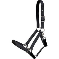 Produktbild von Euroriding Halfter Guide aus Nylon in Schwarz