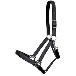 Produktbild von Euroriding Halfter Guide Pony Schwarz aus Nylon
