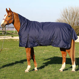 Produktbild von Euroriding Kodiak High Neck Light Outdoor Decke für Pferde Blau