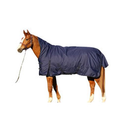 Euroriding Kodiak HN Blau 50g – Bild 1 von 2