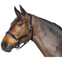 Produktbild von Euroriding Leder Halfter British Line Schwarz Silber für Vollblut