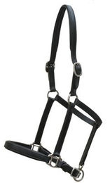 Produktbild von Euroriding Natural Line Fohlenhalfter Schwarz Größe L