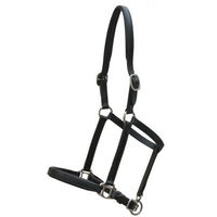 Produktbild von Euroriding Natural Line Fohlenhalfter Schwarz Größe L