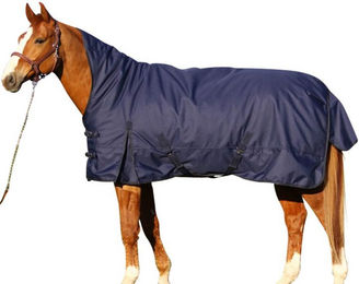 Euroriding Outdoor Decke Kodiak High Neck Heavy 200g Blau – Bild 1 von 1