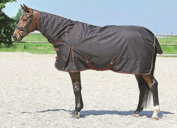Produktbild von Euroriding Outdoordecke Narva für Pferde Schwarz-Rot 145 cm