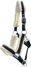 Euroriding Pony Halfter aus Nylon mit Plüschfütterung – Bild 1 von 1
