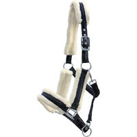 Produktbild von Euroriding Pony Halfter aus Nylon mit Plüschfütterung