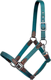 Produktbild von Euroriding Pony Halfter aus Nylon und Neopren in Blau oder Türkis
