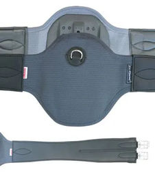 Euroriding Privilege Equitation Sattelgurt Eric le Tixerant – Bild 1 von 2