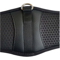Produktbild von Euroriding Sattelgurt Honeycomb Memory Foam Schwarz 115