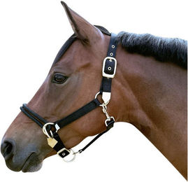Produktbild von Euroriding Schulungshalfter für Ponys aus Nylon in Schwarz