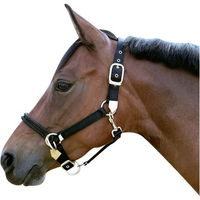 Produktbild von Euroriding Schulungshalfter für Ponys aus Nylon in Schwarz