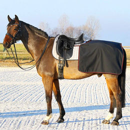 Euroriding Softshell Nierendecke Schwarz Größe M – Bild 1 von 3