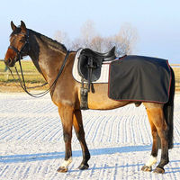 Produktbild von Euroriding Softshell Nierendecke Schwarz Größe S