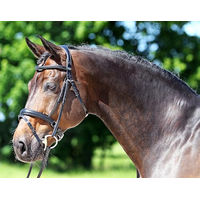 Produktbild von Euroriding Super Soft RH Pony Leder Schwarz