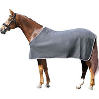 Produktbild von Euroriding Thermo-Abschwitzdecke aus Polyester in Grau