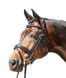 Produktbild von Euroriding Trense EC Super Soft Reithalfter aus Leder Schwarz für Warmblut WB