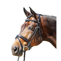 Produktbild von Euroriding Trense EC Super Soft Reithalfter aus Leder Schwarz für Warmblut WB