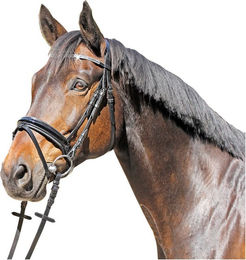 Euroriding Trense Grasse mit schwedischem Reithalfter in Lack-Glitzer-Optik Schwarz – Bild 1 von 1