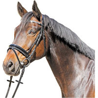 Produktbild von Euroriding Trense Grasse mit schwedischem Reithalfter in Lack-Glitzer-Optik Schwarz