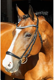 Euroriding Trense La Rochelle Hannoveranesisches Reithalfter aus Leder Schwarz X-Full – Bild 1 von 4