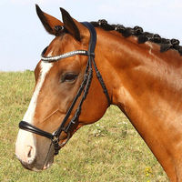 Produktbild von Euroriding Trense La Rochelle hannoversches Reithalfter aus Leder für Ponys in Schwarz oder Braun