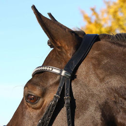 Euroriding Trense La Rochelle mit schwedischem Reithalfter aus Leder für Warmblut in Schwarz oder Braun – Bild 1 von 4